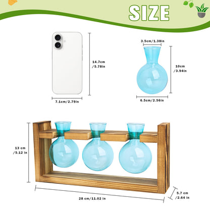 XXXFLOWER Glass Plant Terrarium Propagation Station, Gifts for Mom Plant Lovers Wife Daughter, 3 Bulb Glass Vase Plant Terrarium Tabletop for Hydroponics Home Office Indoor Decor (Blue)