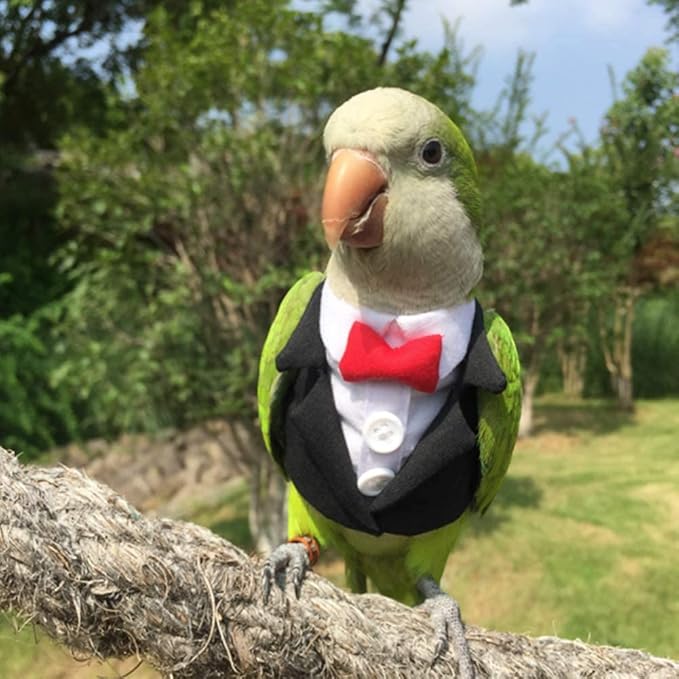 Bird Clothes Birds Flight Suit,Tuxedo Business Suit for Parrots African Greys Parakeet Cockatiel Sun Conure Christmas Party Birthday Cosplay Photo Prop Small Animals Apparel (M,Black Suit)