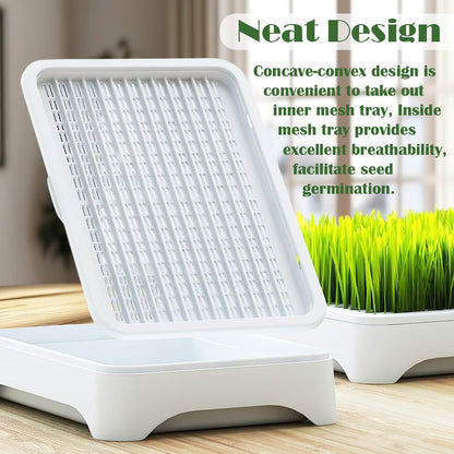 YjiaYjiaY 2-Pack Cat Grass Planter (No Seeds Included), Tri-Section Design, Anti-Pull Out Cat Grass Seed Starter Tray, Sprouts Growing Kit, Microgreens Growing Trays
