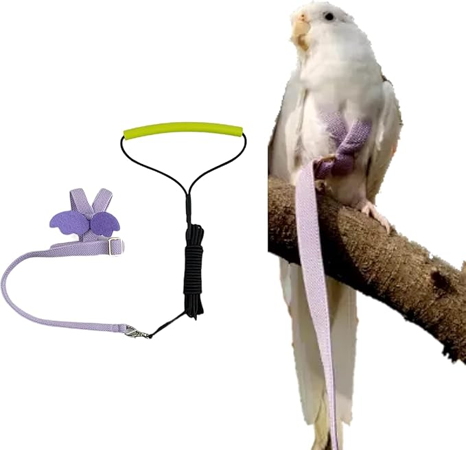 Bird Harness Leash Adjustable Outdoor Training Flying Harness Traction Rope with Cute Wing for Parrots Pigeons Budgerigar Lovebird Cockatiel Mynah (S,Purple)