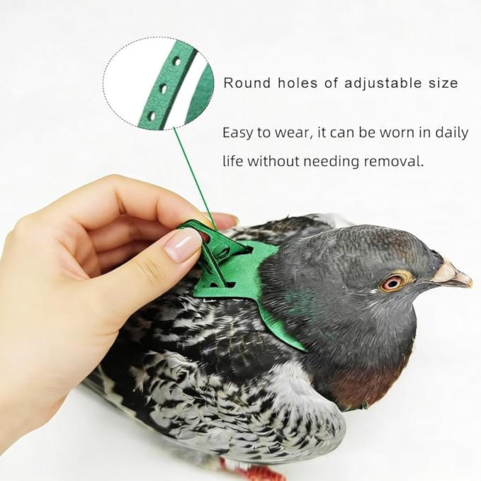 Adjustable Bird Harness & Leash Set for Small Birds,FitsBudgie,Parakeets, Conures, Cockatiels,Green Cheek,Quaker Parrots(Green, L) Z6350-9