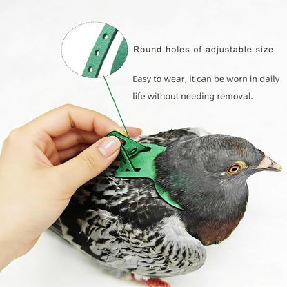 Adjustable Bird Harness & Leash Set for Small Birds,FitsBudgie,Parakeets, Conures, Cockatiels,Green Cheek,Quaker Parrots(Green, 2XL) Z6350-14