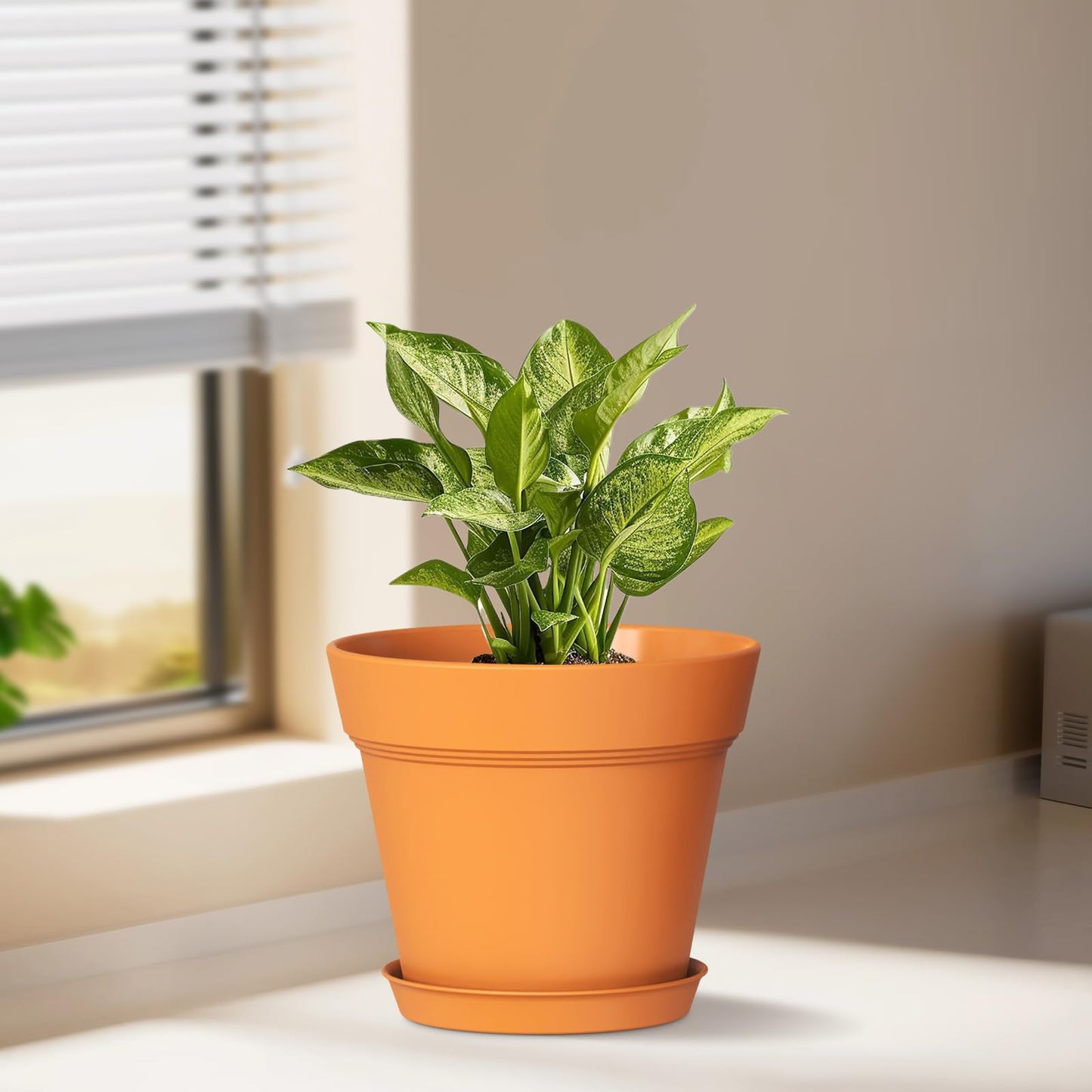 WSMKSZ 5 Inch Plastic Plant Pots with Drainage Holes and Trays – 6 Pack Small Nursery Pots for Indoor & Outdoor House Plants and Flowers, Seedling Starter Planters, Terracotta