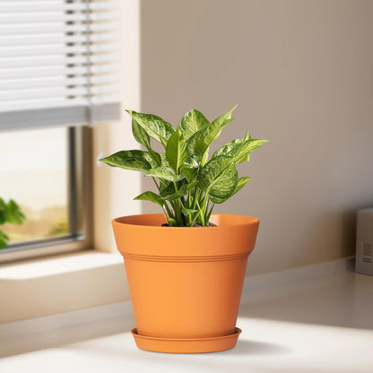 WSMKSZ 5 Inch Plastic Plant Pots with Drainage Holes and Trays – 6 Pack Small Nursery Pots for Indoor & Outdoor House Plants and Flowers, Seedling Starter Planters, Terracotta