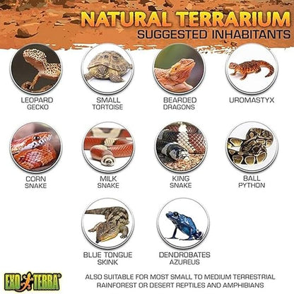Exo Terra Glass Terrarium Kit, for Reptiles and Amphibians, Nano, 8 x 8 x 8 inches, PT2599A1