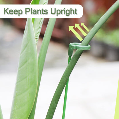 LUCKJUJU 30 Pcs Plant Support Stakes with 30 Pcs Plant Clips Garden Floral Flower Support Single Stem Support Stake for Phalaenopsis Orchid Flower Roses Amaryllis