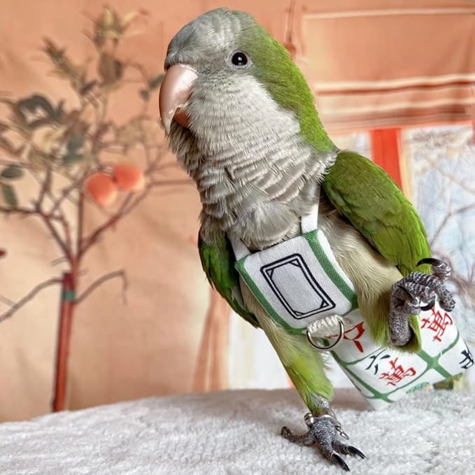 Bird Diaper Harness Flight Suit Clothes, Parrot Flight Suit with Leash for Parrot, Bird Flying Clothes with Rope and Handle for Outdoor Activities Training (Without Leash,Sun Conure)
