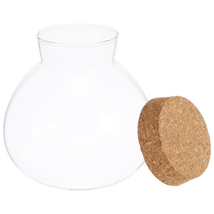 SEWACC Glass Terrarium Jar with Cork Lid, 6 Inch Round DIY Microlandscape Bottle for Plant Terrarium Decor and Airtight Storage, Home Office Kitchen Use