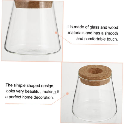 Zerodeko 2Pcs Hydroponic Plant Glass Vases Desktop Terrarium Clear Propagation Containers for Indoor Plants Home Decoration Garden Lovers