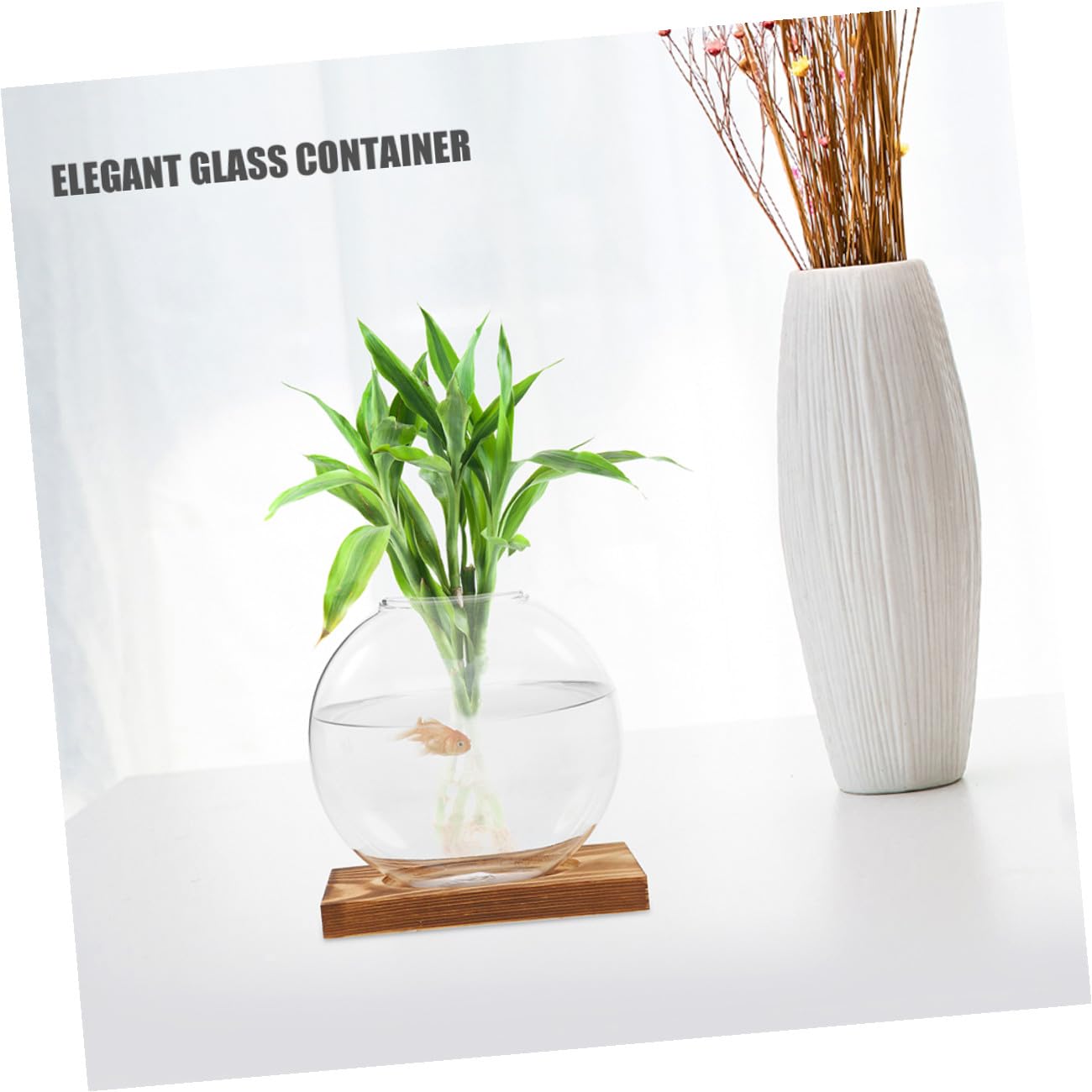 EXAOMBLE 2pcs Hydroponic Glass Vase with Wooden Base, Glass Flower Pot for Plant Propagation, Indoor Terrarium Planter for Home and Office Décor