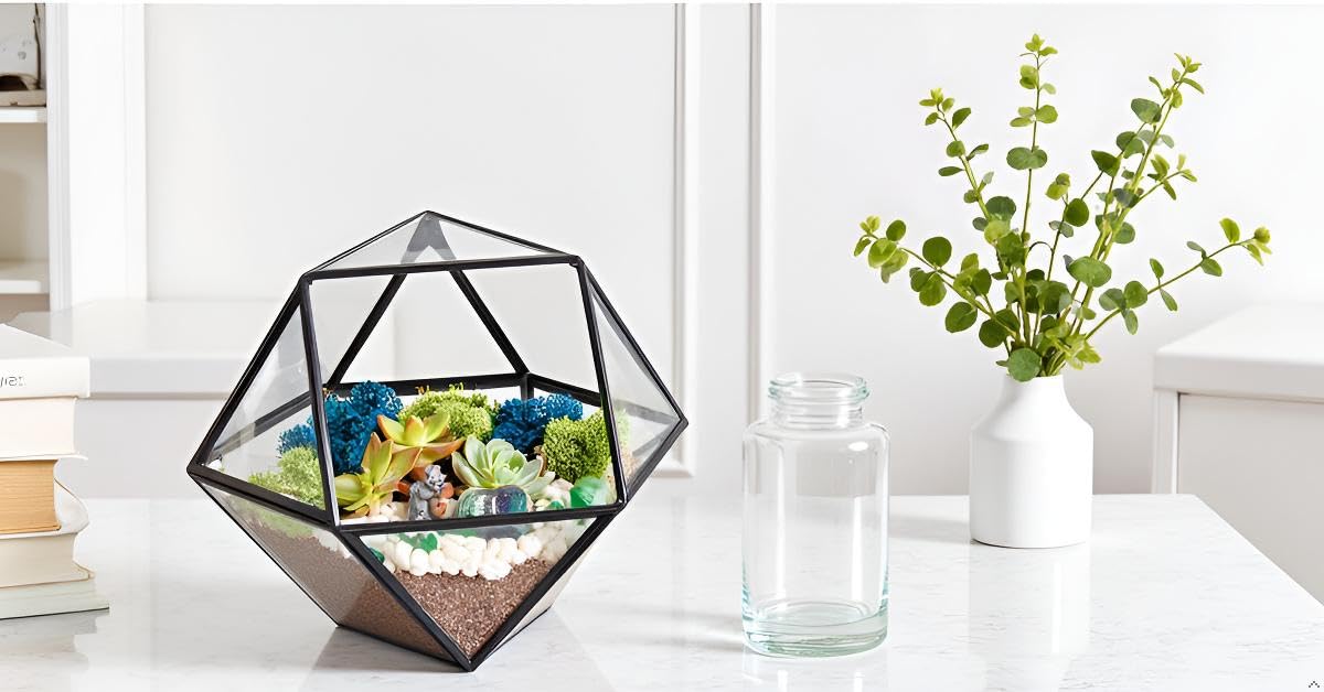 Creations by Nathalie DIY 7" Geometric Terrarium Kit - Build Your Own Glass Terrarium for Adults & Teens with Moss, Crystals, Tools & Decor - Handcrafted in the USA (Live Plant Included)