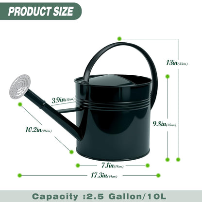 LONGRUN 2.5 Gallon Dark Green Metal Watering Can Primary Colors Nozzle for Plants and Garden with Removable Spout, Made of Galvanized Iron