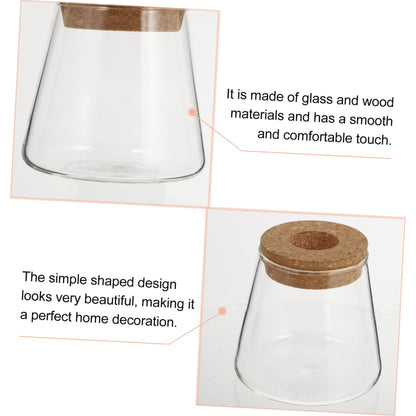 JUMPLAWN 2pcs Hydroponics Glass Planter Stylish Desktop Terrarium for Chic Water-Planting Vase for Indoor Gardening for Plant
