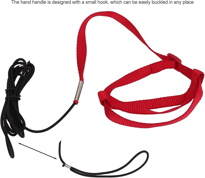 Elastic Parrot Harness Leash Bird Leash Bite Proof Harness Adjustable Parrot Flying Training Rope with Metal Hook Nylon Webbing for Cockatiels Walking (XL)