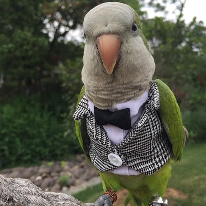 Bird Clothes Birds Flight Suit,Tuxedo Business Suit for Parrots African Greys Parakeet Cockatiel Sun Conure Christmas Party Birthday Cosplay Photo Prop Small Animals Apparel (4XL,Grid Suit)