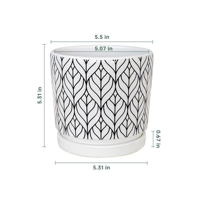 Ton Sin Plant Pots,5.5 Inch White Pots for Indoor Plants with Drainage Holes,Cylinder Flower Pot Ceramic Planters with Saucer,Cactus Succulent Outdoor Garden Pots Set of 4