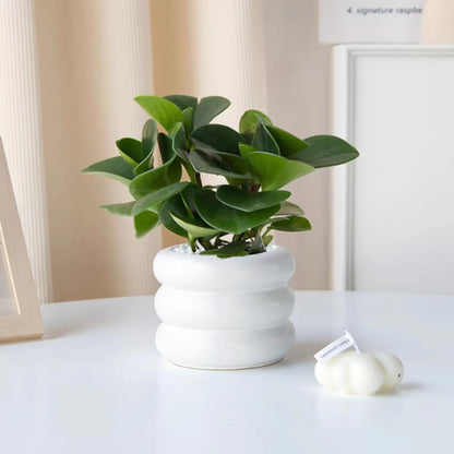 SANDYBAYTAS Ceramic Plant Pot Indoor, 4.5 Inch Flower Pot with Drainage Hole, Small Bubble Design Ceramic Planter for Home & Office Decor (White)