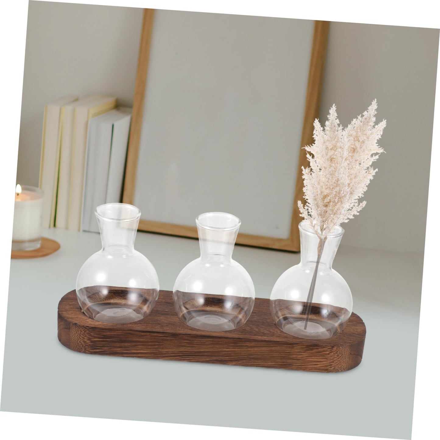 FONDOTIN Hydroponic Glass Vase with Wooden Base for Home and Office Decoration Plant Arrangement Container Stylish Desktop Terrarium for Greenery