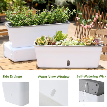 Self Watering Pots for Indoor Plants Rectangular Planter 2 Pack 17.32 inch , Water Level Window Prevent Overwatering for Herbs Vegetable Succulents Strawberry Pot for Garden Windowsill Indoor Outdoor