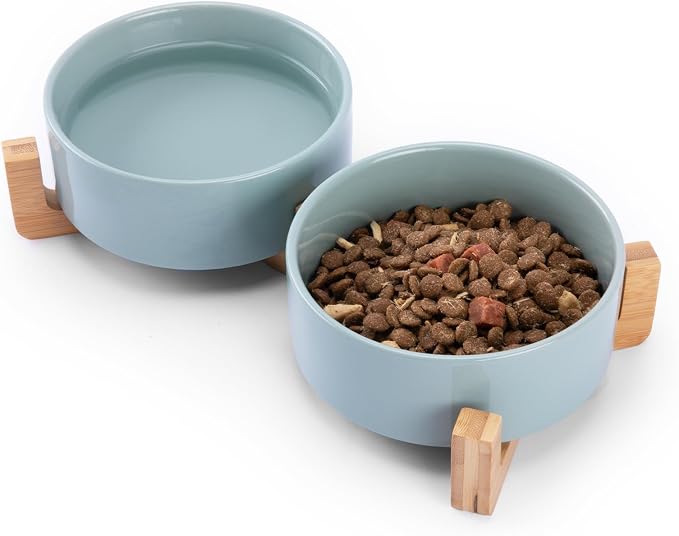 MateeyLife Ceramic Dog and Cat Bowls with Stand, 2-Pack Food and Water Bowl Set - Non-Slip Pet Bowls for Cats,Puppies and Small Dogs, 13.5OZ（Green）