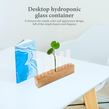 Garneck Glass Planter Hydroponic Vase with 5-Hole Wooden Stand, Indoor Terrarium Plant Propagation Station for Home Office Décor, Tabletop Glass Vase for Air Plants and Live Houseplants