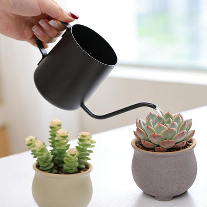 Watering Can for Indoor Plants, 12 oz / 350 ml Mini Plant Waterer, Stainless Steel Watering Can with Long Spout for House Plants, Succulents and Garden Decorative, Gentle Flow & No Spills