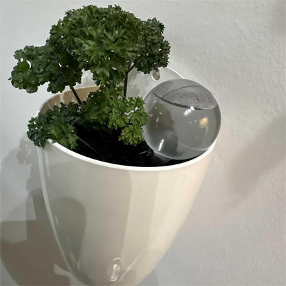 HAKZEON 8 PCS Plant Watering Globes - Large Plastic, Clear Automatic Drip Water Bulbs for Indoor/Outdoor Plants
