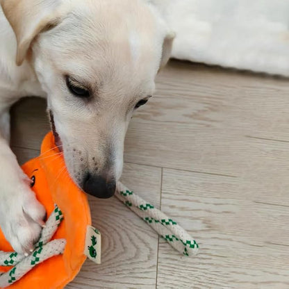 Green Sheep Interactive Plush Dog Toy, No Stuffing Squeaky Toy with Recycled Cotton Rope for Medium to Large Dogs, Pumpkin