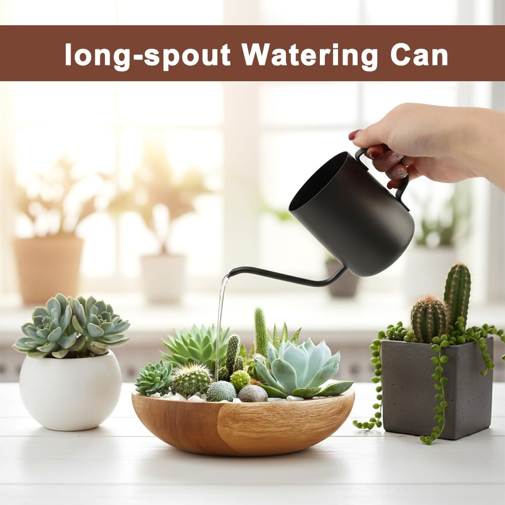 Watering Can for Indoor Plants, 12 oz / 350 ml Mini Plant Waterer, Stainless Steel Watering Can with Long Spout for House Plants, Succulents and Garden Decorative, Gentle Flow & No Spills