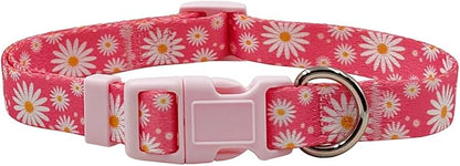 Dog Collar Leash Set, Floral Pattern, Polyester Material, Adjustable Collar and 5ft Matching Leash, for Puppy Dogs.(XS, Daisy)