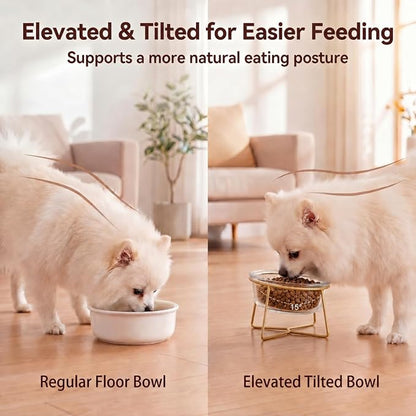 Small Glass Tilted Elevated Cat Dog Bowl Raised Cat Food Water Bowl Dish Pet Comfort Feeding Bowls with Gold Iron Stand
