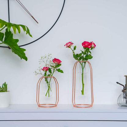 Vases Set of 2 Glass Vases with Metal Frame, Modern Rose Gold Frame Cylinder Clear Vase Planter Terrariums, Flower Holder Decorations for Wedding Living Room, Office, Party (Rose Gold, S+L)