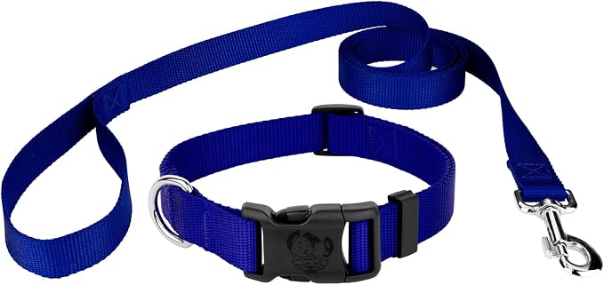 Country Brook Petz - Everyday Nylon Dog Collar and Leash - 10+ Cool Colors (3/4 Inch, Medium, Bright Royal Blue)