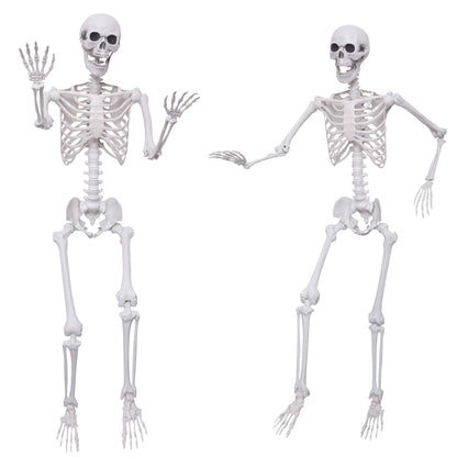 Hibsotco 2Pack 5.4Ft Life Size Skeletons Posable Skeletons Full Size Plastic Human Skeleton with Movable Joint for Halloween Outdoor Indoor Decorations