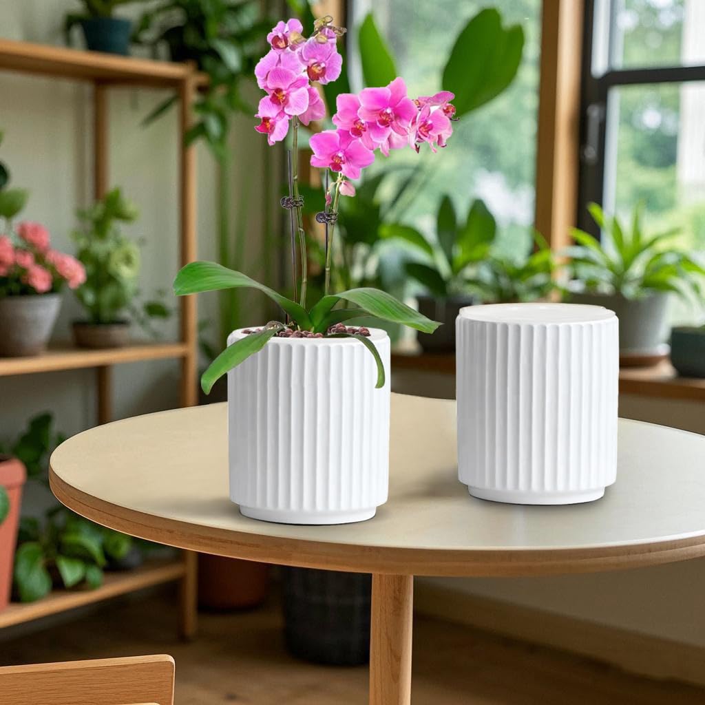 MUZHI Double Layer White Ceramic Orchid Planter with Saucer, Orchid Pots with Holes 4.6" Set of 2, Modern Minimal Cylinder Striped Plant Pot with Drainage 4.6” (White)