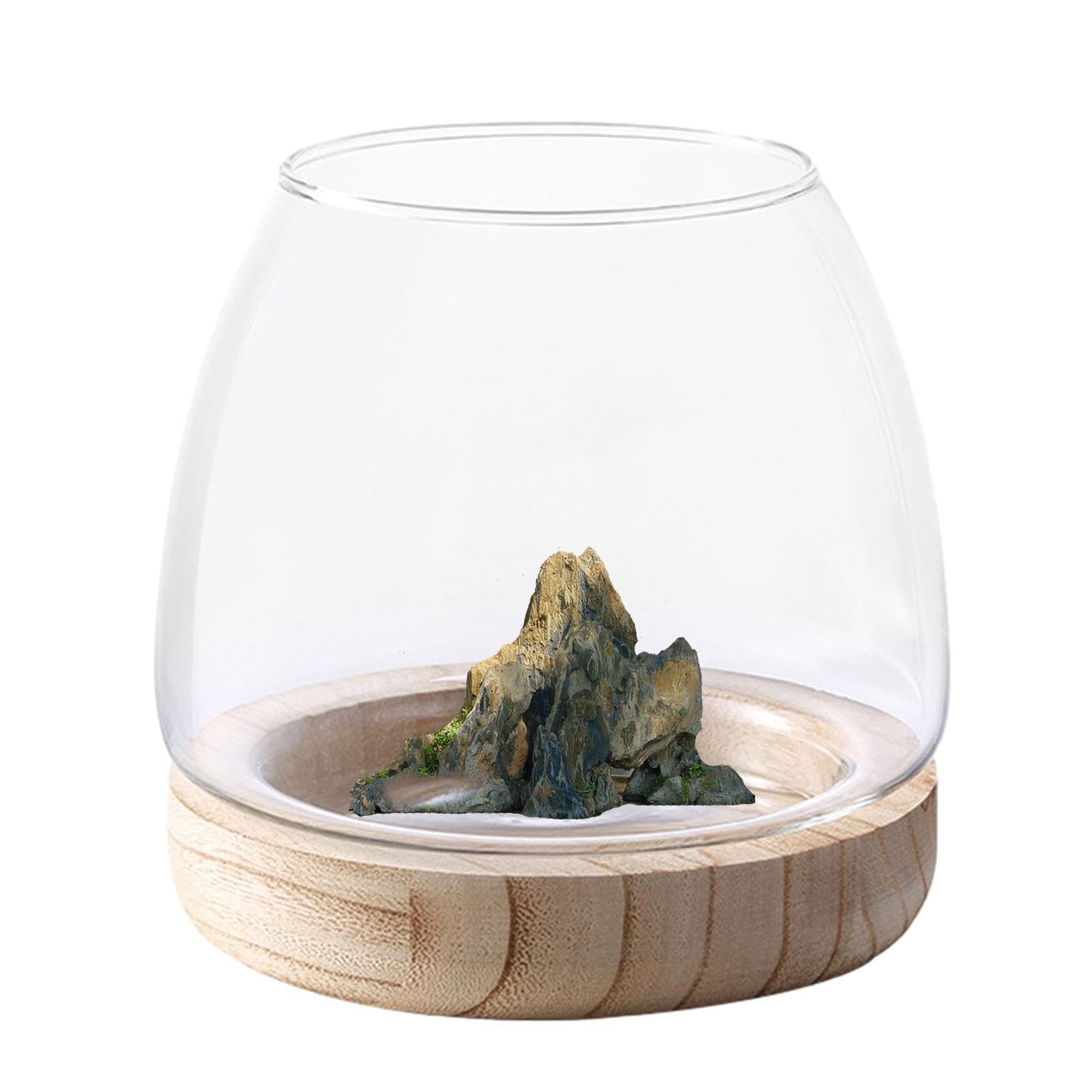 Hydroponic Vase - Durablee Hydroponic Plant Vase, Transparent Glass Fish Bowl Vase with Wooden Support | Wide Mouth Terrarium Flower Vase, Glass Hydroponic Planter Clear Fish Bowl for Home Decoration