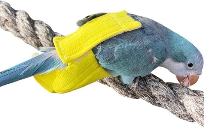 Parrot Bird Diapers, Birds Flight Suit, Parrot Clothes, Pet Animal Costumes, Bird Clothes, Cockatiel Bird Diaper, Pet Bird Diapers, Parrot Flight Suit, Bird Parrot Clothes (Yellow, L)
