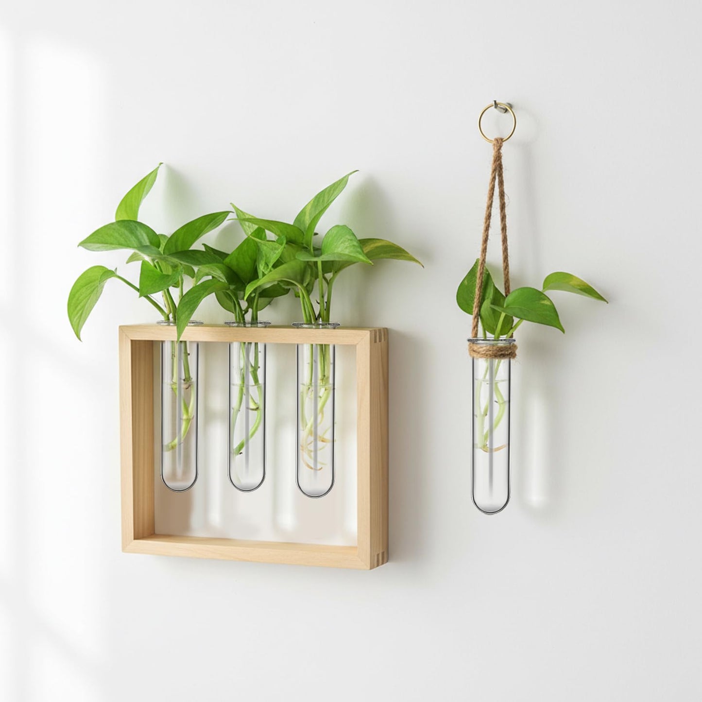 SOLUSTRE 5pcs Glass Test Tube Plant Propagation Vase Set 2.5x3x11cm Floral Tubes Hydroponic Water Culture Station for Small Terrarium Plants and Home Décor