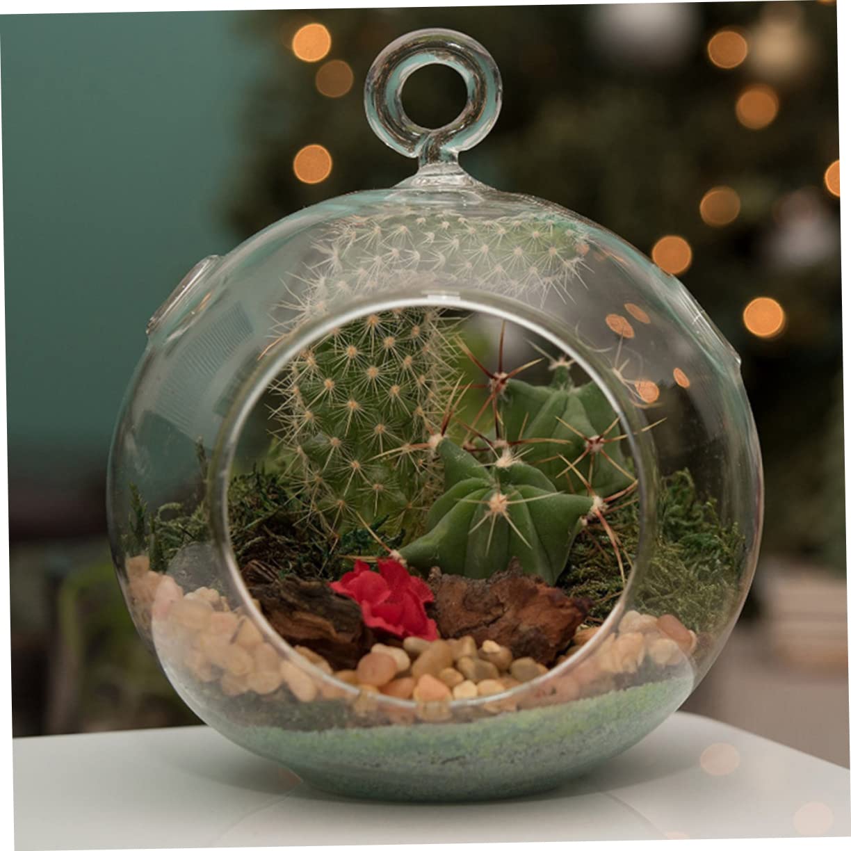 Cabilock 4pcs Hanging Glass Terrarium Shape Container for Plants Home Decor Wedding Decoration Flat Base Design