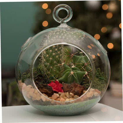 Cabilock 4pcs Hanging Glass Terrarium Shape Container for Plants Home Decor Wedding Decoration Flat Base Design