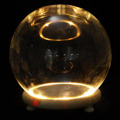 ABOOFAN Clear Glass Cloche Globes Display Dome Bell Jar with Wood Base LED Light 10cm DIY Craft Present Keepsake Globe Display Case Terrarium for Valentines Day Preserved Flower Plant Succulent