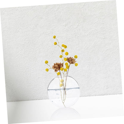 Mobestech 2pcs Glass Flower Vase Wall Mount Hydroponic Wall Plant Terrarium Decorative Hanging for Indoor Plants