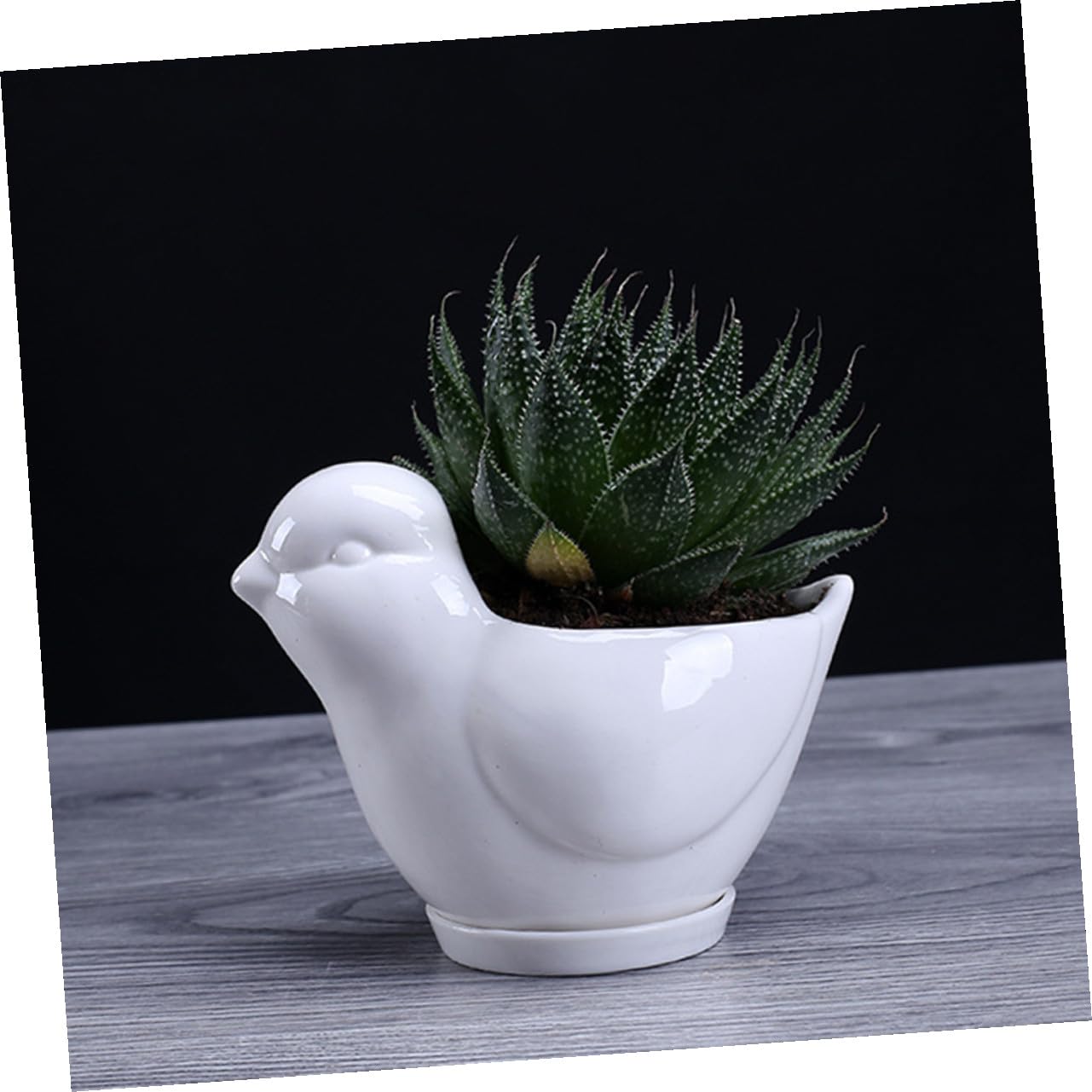 LALAFINA Ceramic Succulent Plant Container Bird Shape Large White Flower Pot with Saucer Indoor Desktop Planter for Home Garden Decor