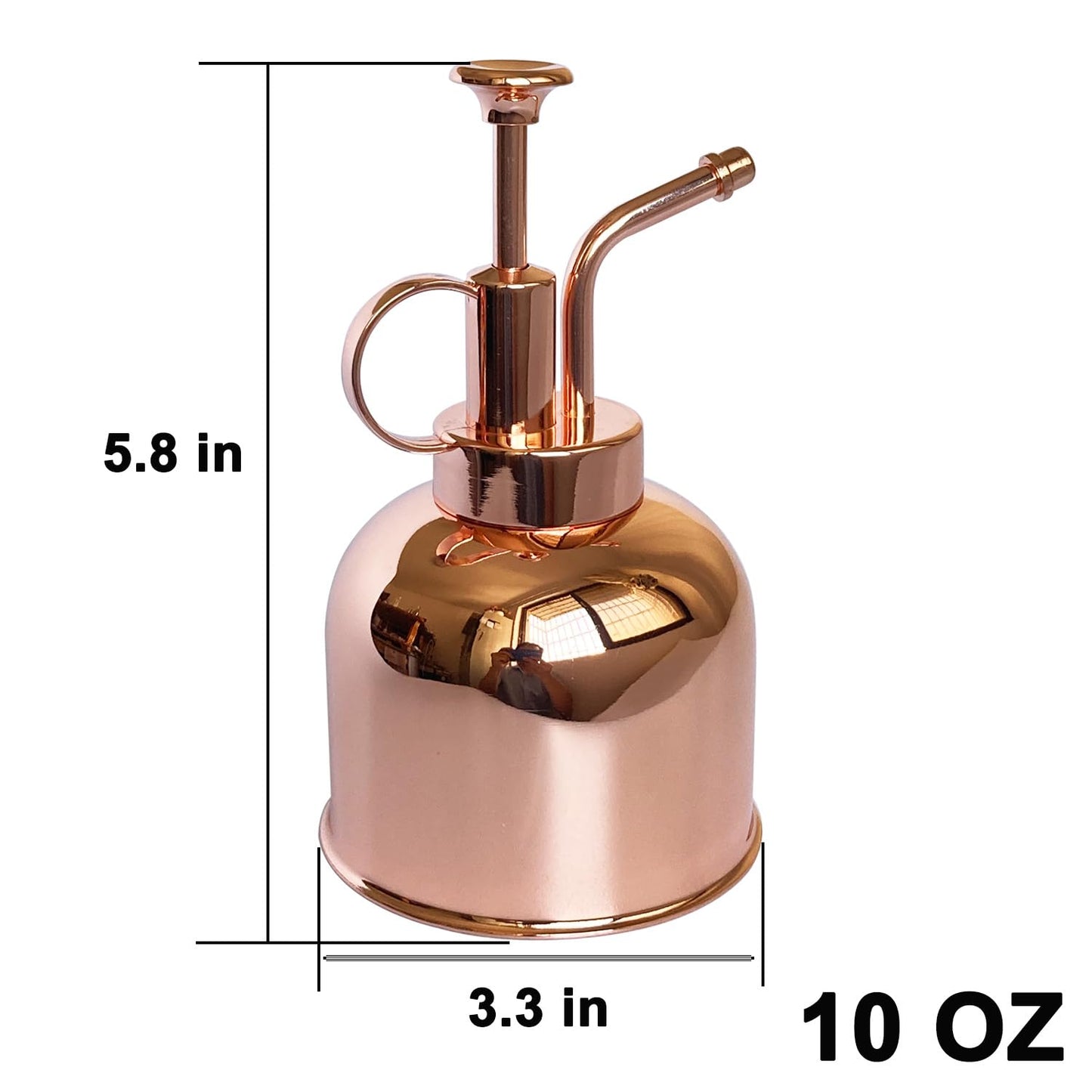 Lianshi Plant Mister Spray Bottle Stainless Steel Plant Sprayer, Small Watering can Plant Spray Bottle Modern Gardening Tools for Indoor Potted Plants Watering and Spraying