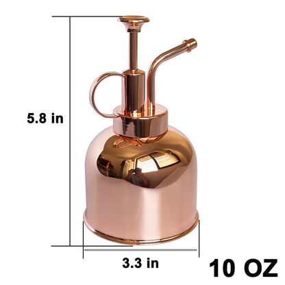 Lianshi Plant Mister Spray Bottle Stainless Steel Plant Sprayer, Small Watering can Plant Spray Bottle Modern Gardening Tools for Indoor Potted Plants Watering and Spraying