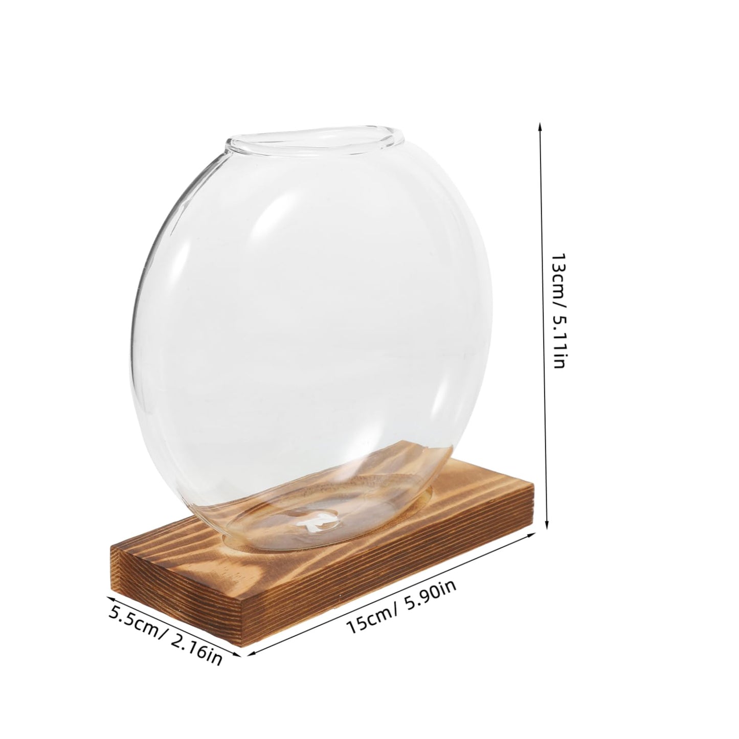 BESTonZON 1piece Modern Plant Decor Hydroponic Vase Glass Terrarium Jar Terrarium Container Creative Propagation Vase Plant Window