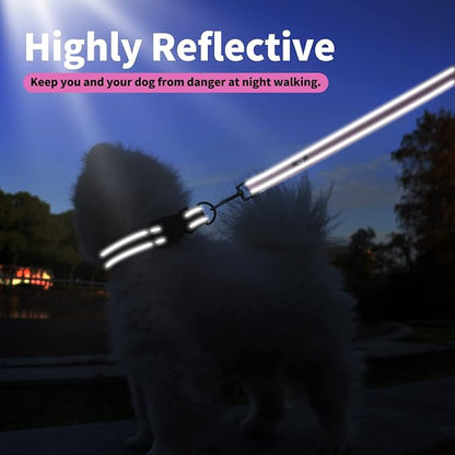 IVY&LANE Reflective Dog Collar and Leash Set,Adjustable Neoprene Padded Dog Collars, Breathable Nylon Pet Collar for Small Medium Large Dogs (Large,Fuchsia Pink)