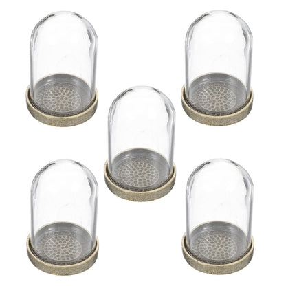 ARTIBETTER Glass Terrarium Dome and Brass Tray Set for DIY Microlandscape Plant Display Miniature Ecological Container Covers for Home Decor and Craft Supplies