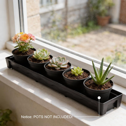 RooTrimmer 5 Pack Rectangular Window Sill Plant Pot Trays, 10 Pack 8 Cell Nursery Pot Trays with Clear Round Pots 80pcs