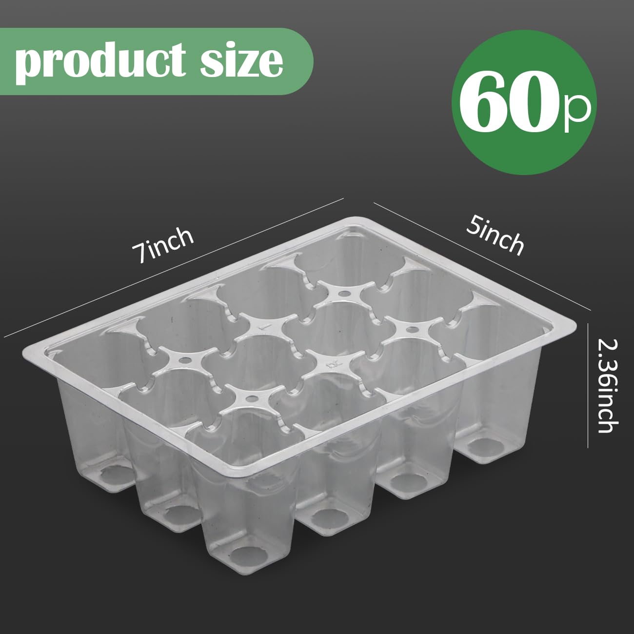 RooTrimmer 60 Pack Reusable 12-Cell Clear Seed Starter Trays - Extra Large Drainage Holes, Easy to Repotted, Clear Transparent Tray for Root Observation, Seed Starting, Fits Standard 1020 Trays